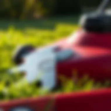 Comparison of a well-maintained lawn after using a sharpened mower blade