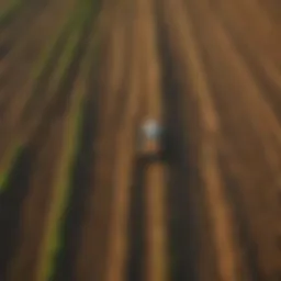 An aerial view of sustainable agricultural practices in harmony with nature