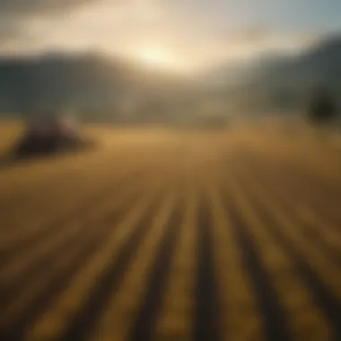 Future Trends in Baler Technology A futuristic view of agricultural fields utilizing advanced baler technology.