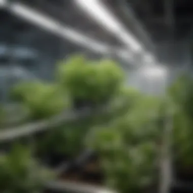 Hydroponic System in a Grow Cabinet A well-maintained hydroponic system within a grow cabinet