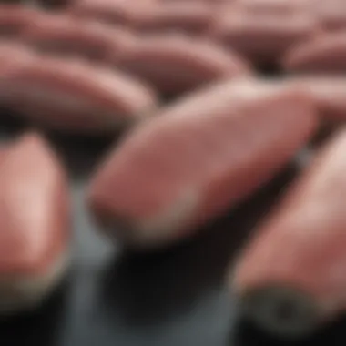 Sustainability in Spanish Canned Tuna Sourcing Sustainable practices in tuna sourcing
