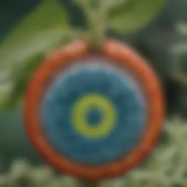 Boron’s Contribution to Plant Cell Integrity Visual representation of boron’s role in plant cell structure