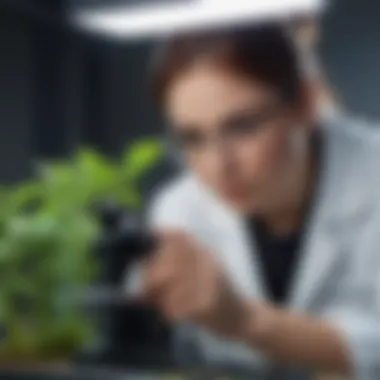 A lab technician examining plant samples under a microscope