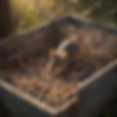 Close-up view of bait inside a trap, demonstrating an effective lure.