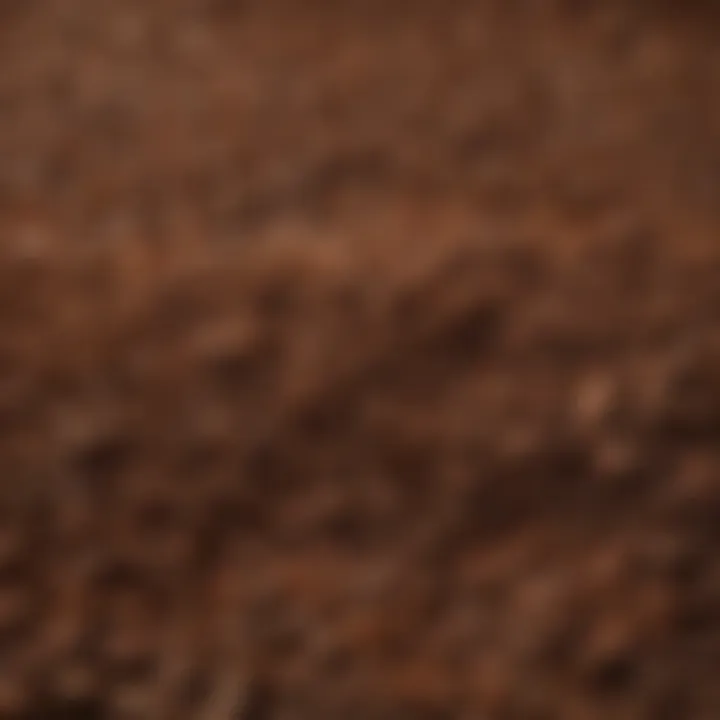 Close-up of coco peat texture showcasing its fibrous structure