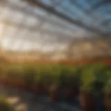 High-efficiency greenhouse heater