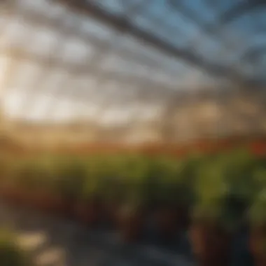 Maximizing Greenhouse Growth with Efficient Heating Solutions High-efficiency greenhouse heater
