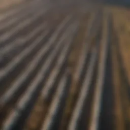 Aerial view of a large factory farm showcasing rows of livestock in confined spaces