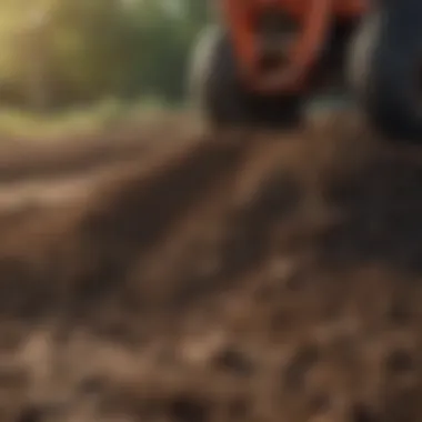 Enhancing Soil Fertility with Organic Matter Organically enriched soil with compost
