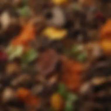 A close-up view of rich compost made from food scraps, showcasing its texture and color.