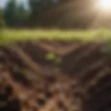 Detailed analysis of soil sampling methods