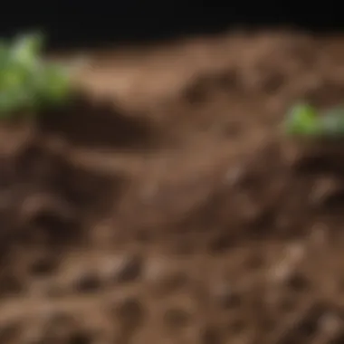 Pricing Variations in Soil Testing Comparative pricing of soil tests