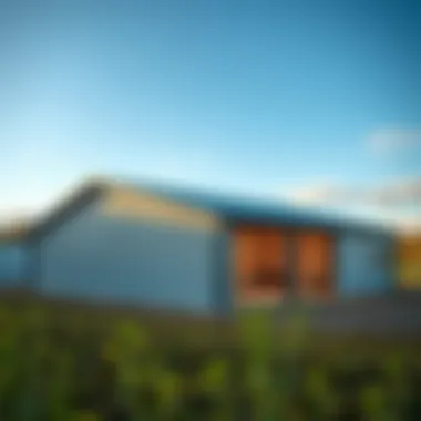 Cost-Effective Building Design Cost-effective insulated steel frame building design