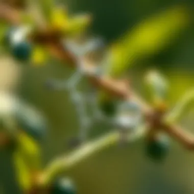 Chemical structure of Defence SC insecticide