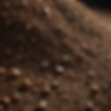 Visual representation of different soil types and their nutrient absorption