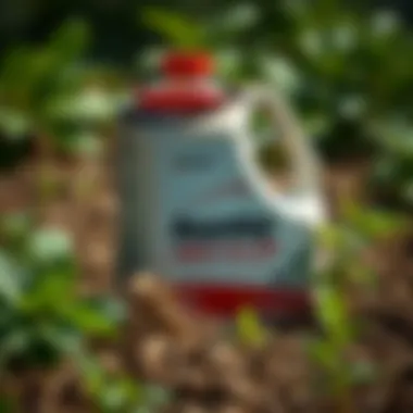 Herbicide Disposal Regulatory Guidelines Regulatory guidelines for herbicide disposal