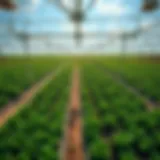Aerial view of a modern farm utilizing advanced technology.