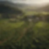 Aerial view of a lush agricultural landscape