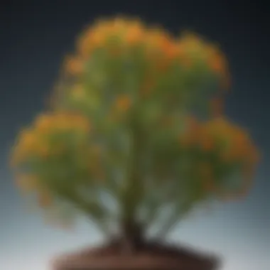 Propagation Techniques for Euphorbia Species Detailed illustration of propagation techniques for Euphorbia species
