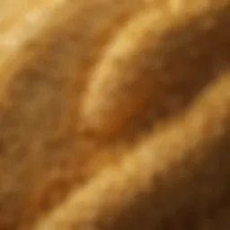 A close-up of a bio sponge designed for dogs, showcasing its texture and design.