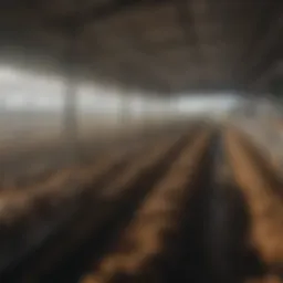 Dairy farm landscape showcasing modern facilities