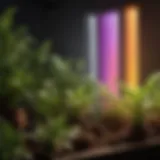 A spectrum chart illustrating different light wavelengths