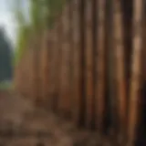 Different types of tree stakes made from various materials