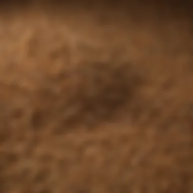 Nutritional Components of Sure Champ Cattle Feed Nutritional analysis of Sure Champ cattle feed