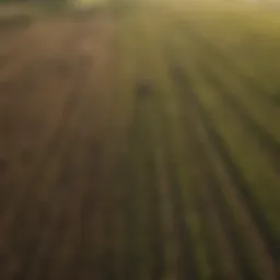 Aerial view of sustainable farmland with diverse crops