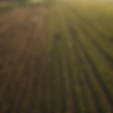 Sustainable Agricultural Practices Aerial view of sustainable farmland with diverse crops