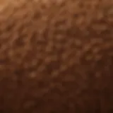 High-quality coco coir fibers showcasing texture and structure