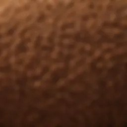 High-quality coco coir fibers showcasing texture and structure