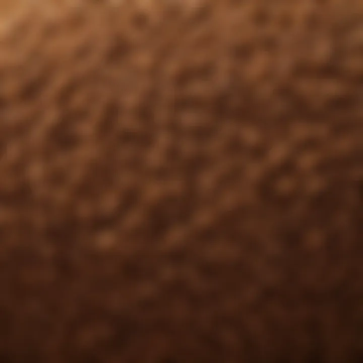 High-quality coco coir fibers showcasing texture and structure
