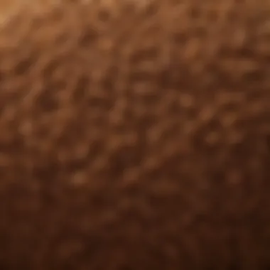 Coco Coir Fiber Characteristics High-quality coco coir fibers showcasing texture and structure