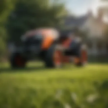 Sustainable Lawn Care Solutions Eco-friendly lawn care practices in action