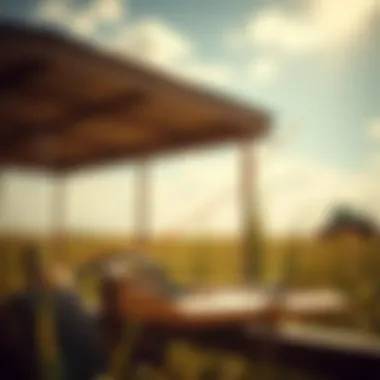 Graph illustrating loan options for farmers