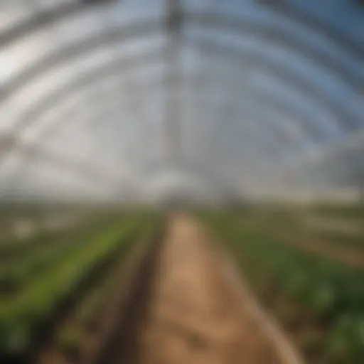 A close-up view of a modern polytunnel structure showcasing its design