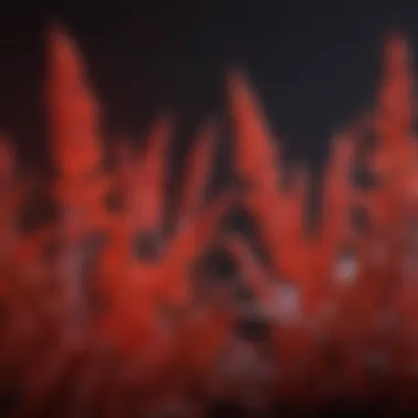 Physiological Responses of Plants to Red Light Close-up of plants thriving under red light spectrum