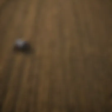 Aerial view of a farm utilizing cover crops for sustainable practices