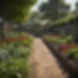 A vibrant community garden showcasing diverse crops