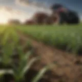 A lush green field demonstrating the effectiveness of green planet fertilizers