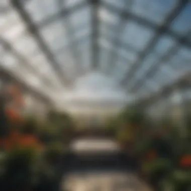 Glass greenhouse roof design