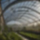 Transparent polycarbonate greenhouse roofing