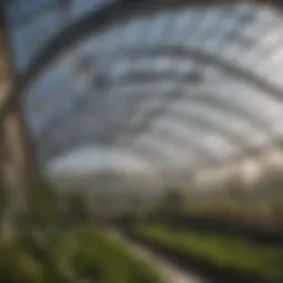 Transparent polycarbonate greenhouse roofing