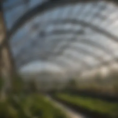 Transparent polycarbonate greenhouse roofing