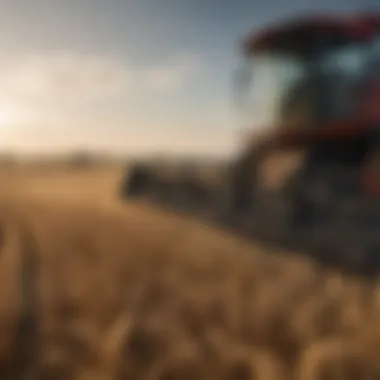 Harvesting Awnless Winter Wheat with Equipment Harvesting awnless winter wheat with modern agricultural equipment