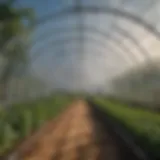 Architectural design of a high tunnel hoop house showing structural features and layout