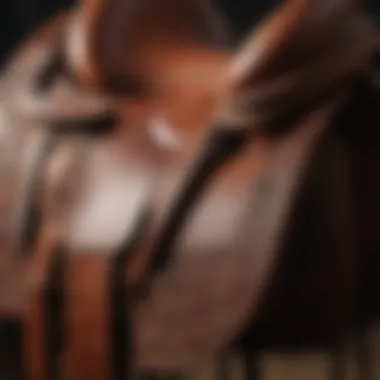 Craftsmanship in Equestrian Gear Close-up of high-quality leather saddle highlighting craftsmanship