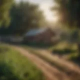A serene small farm landscape with crops