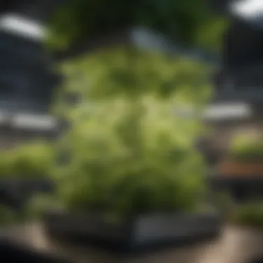 Indoor Hydroponic Tower An indoor hydroponic tower filled with flourishing plants